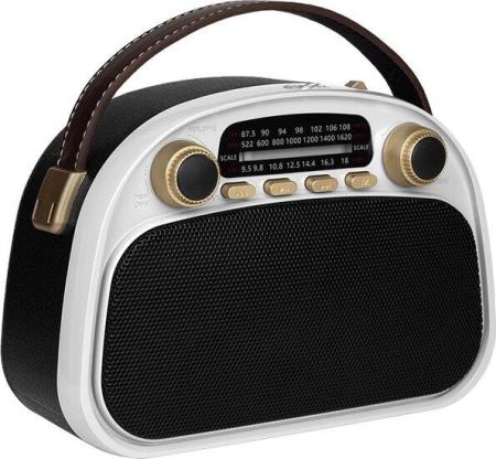 Радиоприемники Ritmix RPR-040 (белый)