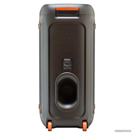 Беспроводные и портативные колонки Ginzzu GM-214