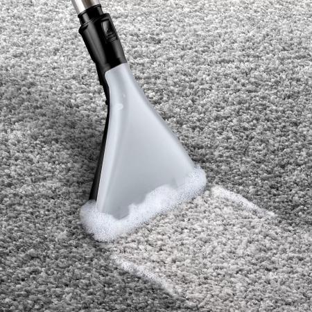 Пылесосы Bosch BWD421PET