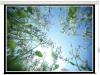 Проекционные экраны Lumien Master Control 183x244 (LMC-100109)