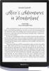 Электронные книги Onyx BOOX Darwin 11