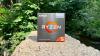 Процессоры AMD Ryzen 5 5600G (BOX) [100-100000252BOX, 100-100000252CBX]
