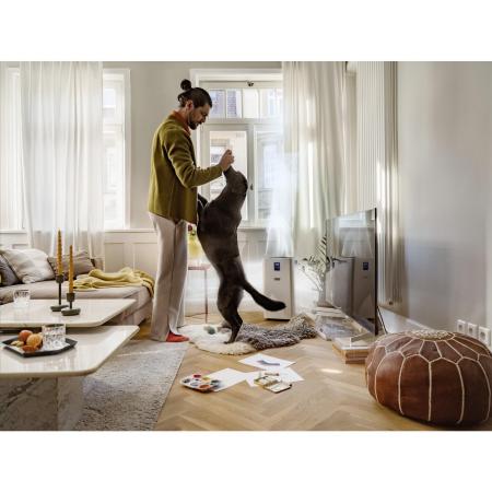 Очистители и мойки воздуха Karcher AF 50 1.024-822.0