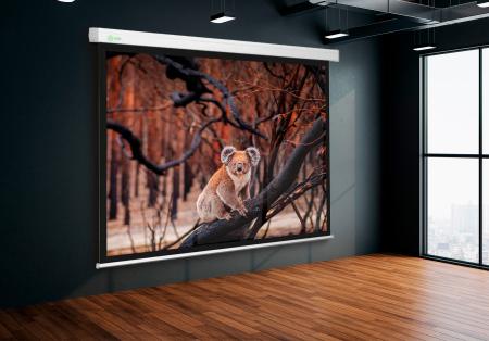 Проекционные экраны CACTUS Wallscreen CS-PSW-168x299 [CS-PSW-168x299]