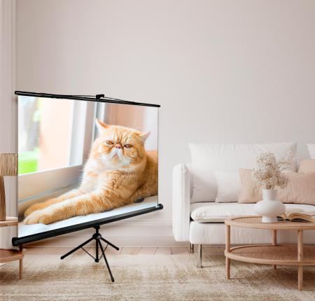 Проекционные экраны CACTUS Triscreen CS-PST-127X127 [CS-PST-127X127]