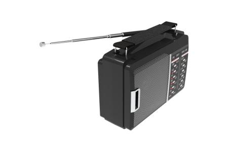 Радиоприемники Ritmix RPR-190