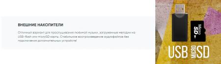 Беспроводные и портативные колонки Soundmax SM-MS4209