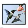 Проекционные экраны Lumien Master Picture 220x220 (LMP-100129)