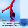 Беспроводные и портативные колонки Яндекс Станция Лайт 2 (фиолетовый) [YNDX-00026VIO]