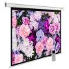 Проекционные экраны CACTUS SIlverMotoExpert 150x240 CS-PSSME-240X150-WT [CS-PSSME-240X150-WT]
