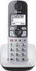 Радиотелефоны DECT Panasonic KX-TGC310UC2