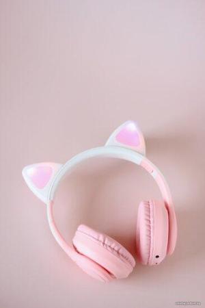 Наушники и гарнитуры Miru Cat EP-W10 (розовый) [W101]