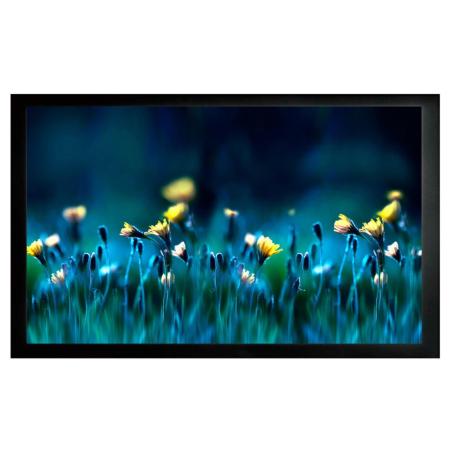 Проекционные экраны CACTUS FrameExpert 113x200 CS-PSFRE-200X113 [CS-PSFRE-200X113]