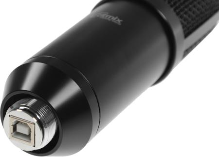 Микрофоны Ritmix RDM-169 [RDM-169 Black]