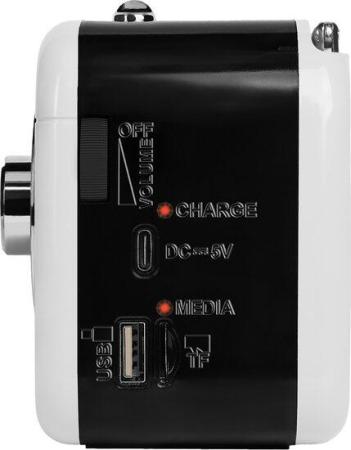 Радиоприемники Ritmix RPR-033 (белый)