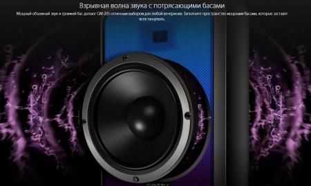Беспроводные и портативные колонки Ginzzu GM-205