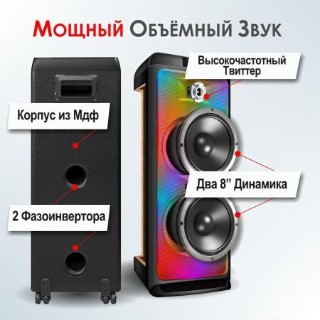 Беспроводные и портативные колонки Ginzzu GM-205