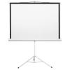 Проекционные экраны CACTUS Triscreen CS-PST-127X127 [CS-PST-127X127]