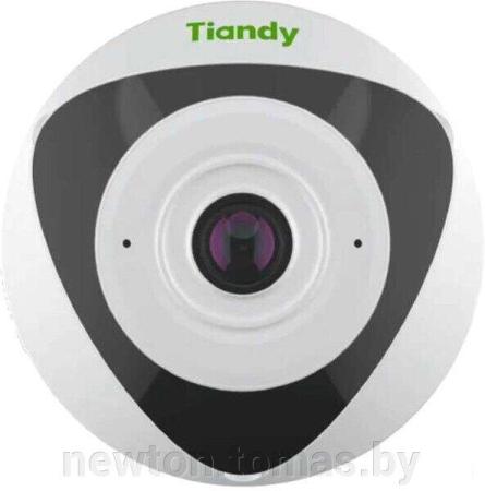 IP-камеры Tiandy TC-C32QN I3/E/Y/2.8mm/V5.0