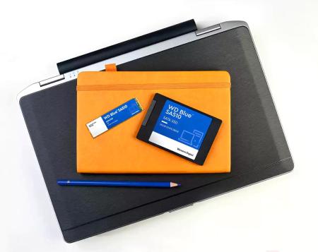SSD WD Blue SA510 1TB WDS100T3B0A [WDS100T3B0A]