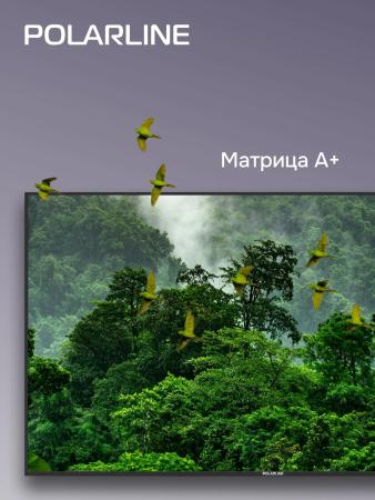 Телевизоры Polarline 55PU11TC-SM