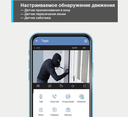 IP-камеры TP-Link Tapo C310 [C310]