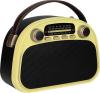 Радиоприемники Ritmix RPR-040 (лимонный)