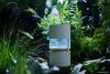 Увлажнители воздуха SmartMi Humidifier Rainforest CJJSQ06ZM (международная версия) [HU5160WHEU]