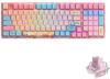 Клавиатуры Akko 3098B Doraemon Rainbow (Akko CS Jelly Pink)