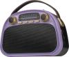 Радиоприемники Ritmix RPR-040 (лавандовый)