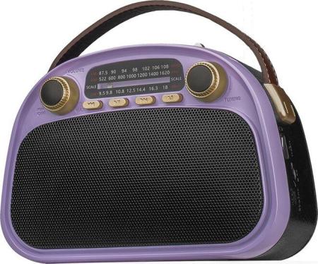 Радиоприемники Ritmix RPR-040 (лавандовый)