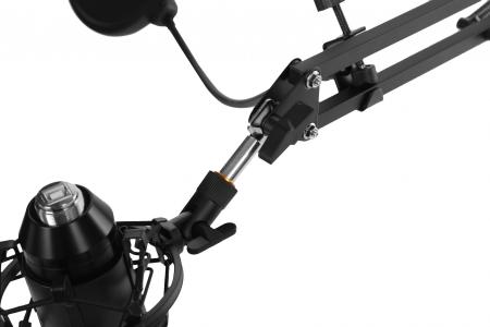 Микрофоны Ritmix RDM-169 [RDM-169 Black]