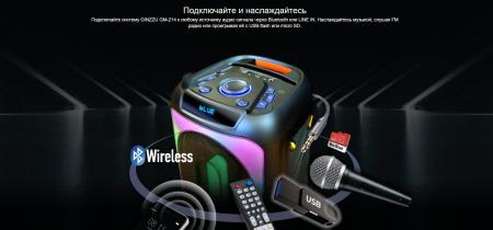 Беспроводные и портативные колонки Ginzzu GM-214