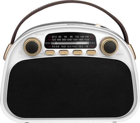 Радиоприемники Ritmix RPR-040 (белый)