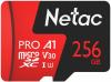 Карты памяти Netac P500 Extreme Pro 256GB NT02P500PRO-256G-S [NT02P500PRO-256G-S]