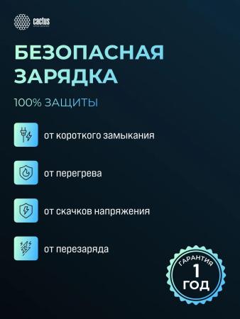 Портативные зарядные устройства CACTUS CS-PBFSCA-10000 10000mAh (черный) [CS-PBFSCA-10000, 4670089336206]