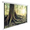 Проекционные экраны CACTUS WallExpert 220x220 CS-PSWE-220x220-WT [CS-PSWE-220x220-WT]