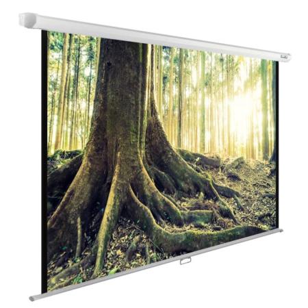 Проекционные экраны CACTUS WallExpert 220x220 CS-PSWE-220x220-WT [CS-PSWE-220x220-WT]