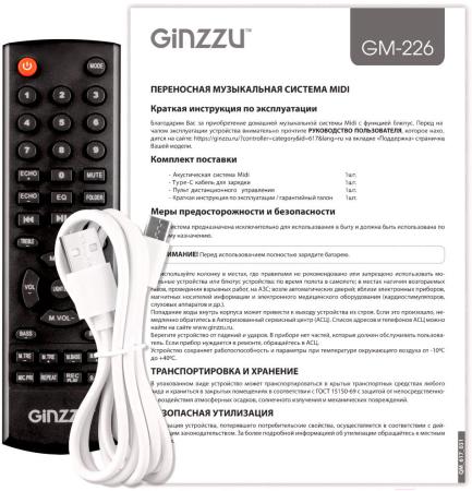 Беспроводные и портативные колонки Ginzzu GM-226