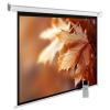 Проекционные экраны CACTUS SIlverMotoExpert 188x300 CS-PSSME-300X188-WT [CS-PSSME-300X188-WT]