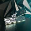 Оперативная память Patriot Signature Line 2x8ГБ DDR5 4800 МГц PSD516G4800K [PSD516G4800K]