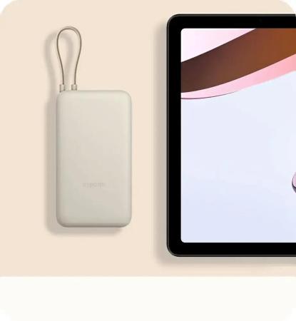 Портативные зарядные устройства Xiaomi Power Bank 33W PB2030MI 20000mAh (бежевый, международная версия) [BHR8851GL]