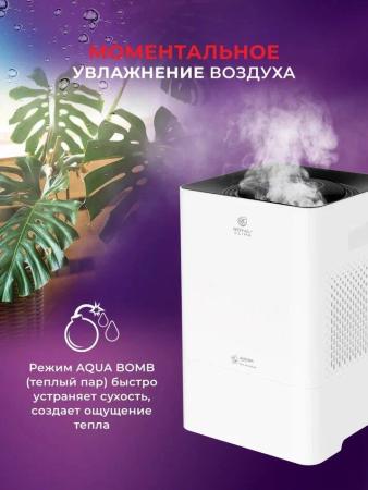Очистители и мойки воздуха Royal Clima Aurora RAW-AU350/5EW-WT [RAW-AU350/5EW-WT]