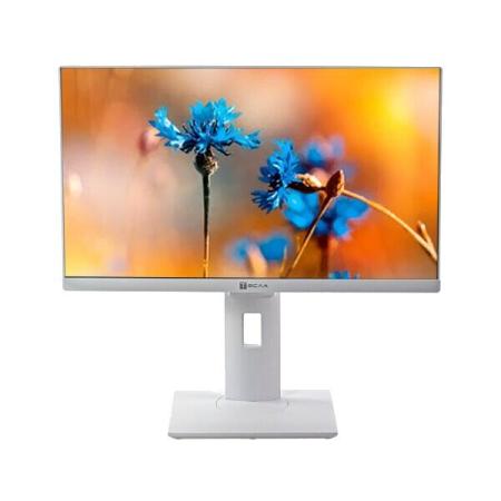 Моноблоки ТЕСЛА P24WP 2416500