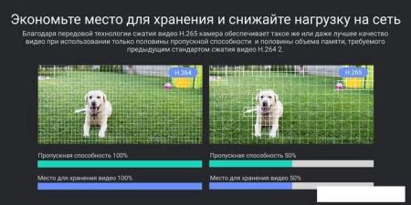 IP-камеры TP-Link Tapo C500