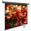 Проекционные экраны CACTUS SIlverMotoExpert 175x280 CS-PSSME-280X175-DG [CS-PSSME-280X175-DG]