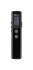 Диктофоны Ritmix RR-120 8GB (черный) [RR-120 8Gb Black]