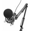 Микрофоны Ritmix RDM-180 [RDM-180, RDM-180 Black]