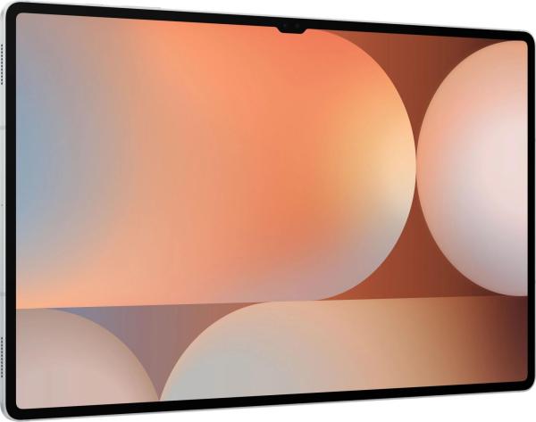 Планшеты Samsung Galaxy Tab S10 Ultra 5G SM-X926 12GB/256GB (серебристый) [SM-X926BZSRCAU]