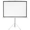 Проекционные экраны CACTUS Triscreen CS-PST-104x186 [CS-PST-104x186]
